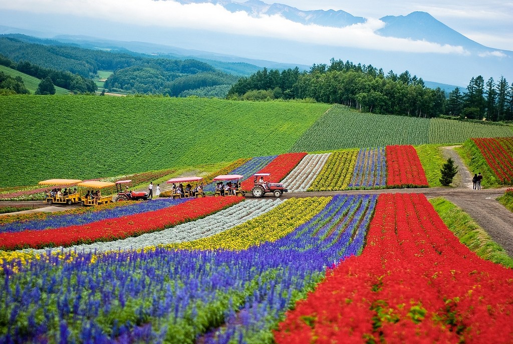 Du lịch Hokkaido