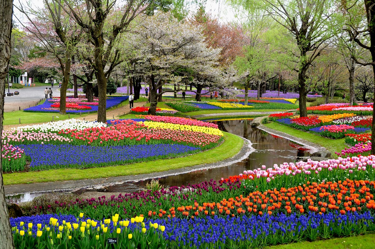 KHÁM PHÁ MÙA HÈ NHẬT BẢN 5N5D: OSAKA - NARA - KYOTO - NAGOYA - TOKYO