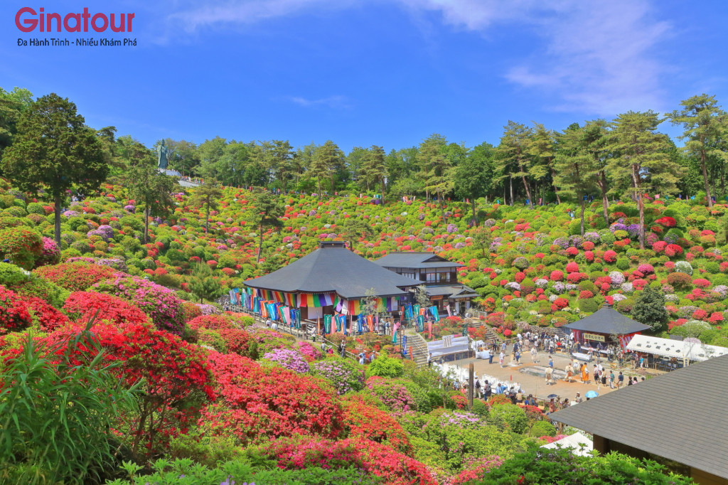 sjiofune-kannonji-temple-azalea-p39596368_M-1024x682 (1)
