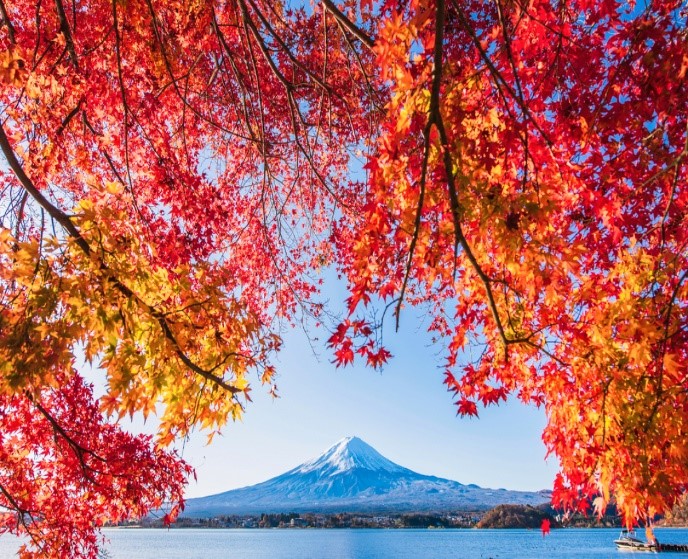 Du lịch Nhật Bản mùa Thu - Tokyo - Kyoto - Osaka từ Sài Gòn 6 ngày 5 đêm