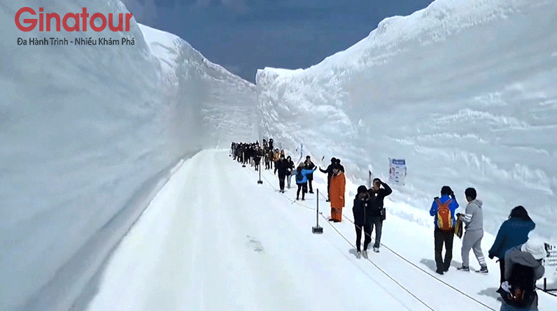 [Hà Nội] Charter Nhật Bản Hành Lang Tuyết – Lễ hội hoa Thủy Tiên