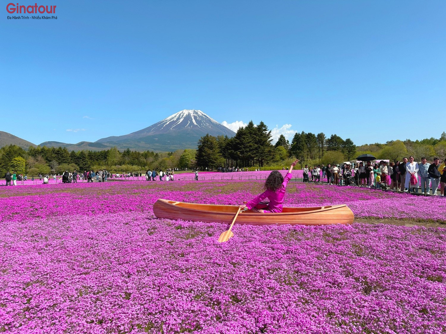 Charter Lễ hội hoa Chi Anh Fuji Shibazakura
