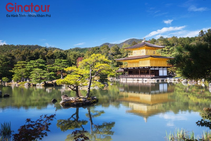 Du lịch nhật bản tháng 12 | Nhật Bản Cổ Tích: Shirakawago, Kyoto và Hồn Xưa Takayama