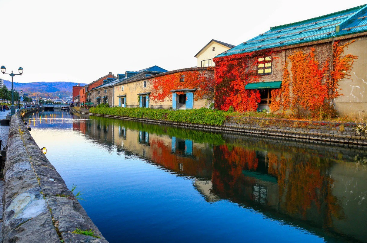 Hoa Anh Đào tuyệt đẹp tại Hokkaido